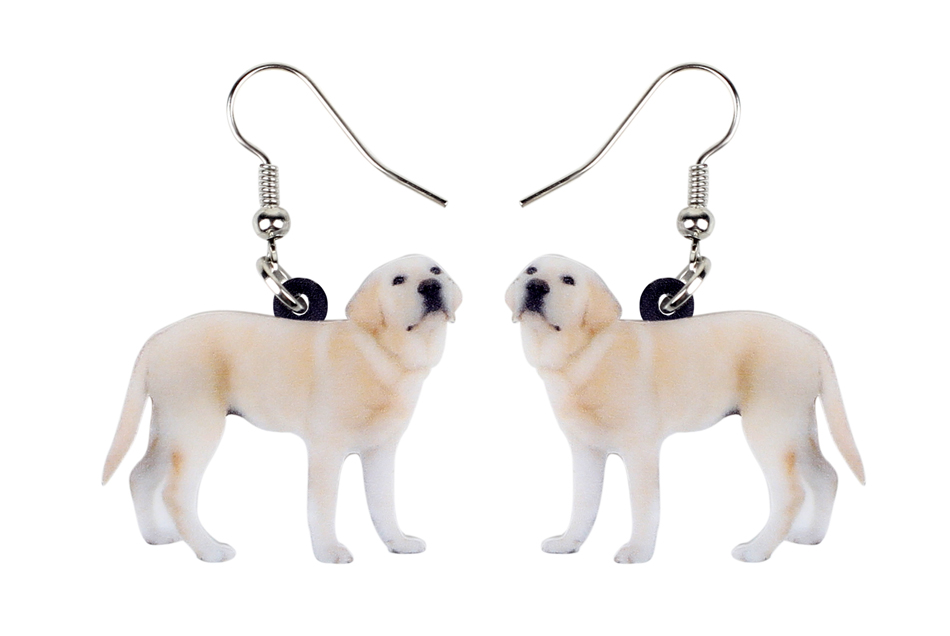 Cute Labrador Retriever Earrings Earrings Acrylic Animal Dangle Earrings Fish Hook Earrings Labrador