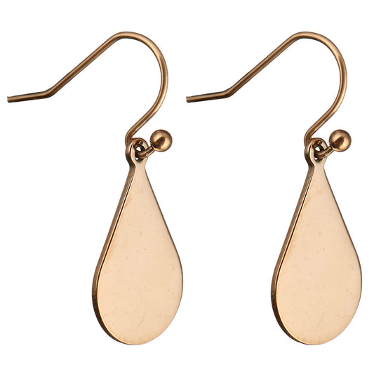 Stainless Steel Dangle Earrings – Rose Gold Plated Earrings Drop Earrings Fish Hook Earrings Rose Gold Plated Stainless Steel