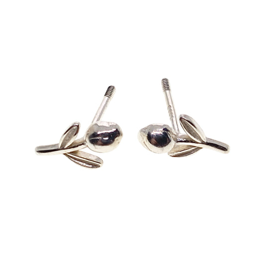Pair of silver earrings on a white background